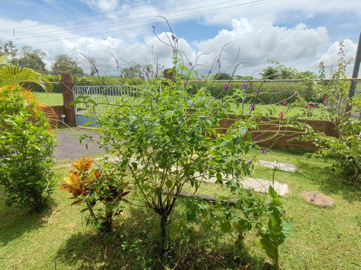 Arenal Homes La Fortuna Eksteriør billede